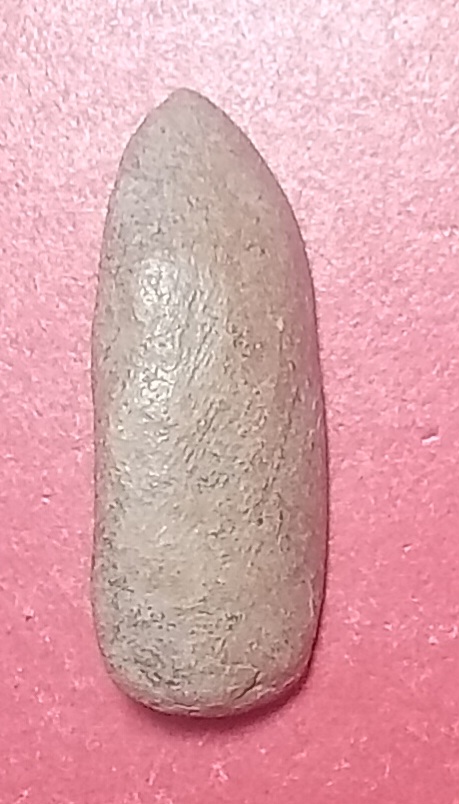 20250720_094534.jpg