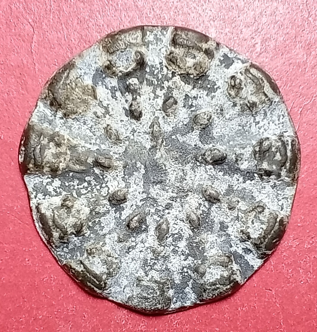 20260216_144725.jpg