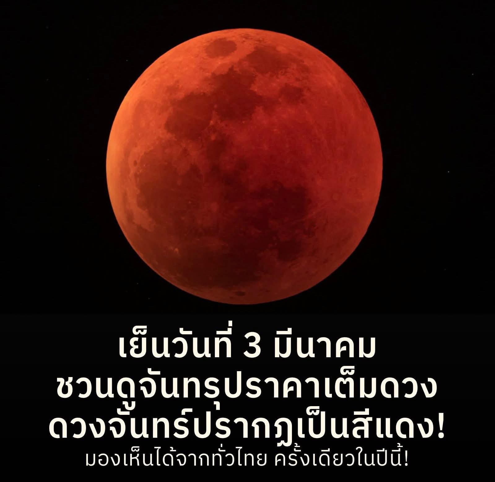 FB_IMG_1772191259935.jpg